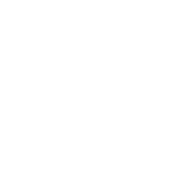 Decorative plant