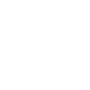 Brain icon