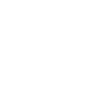 Lightbulb icon